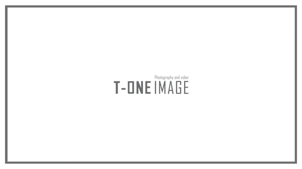 t-one-image-logo