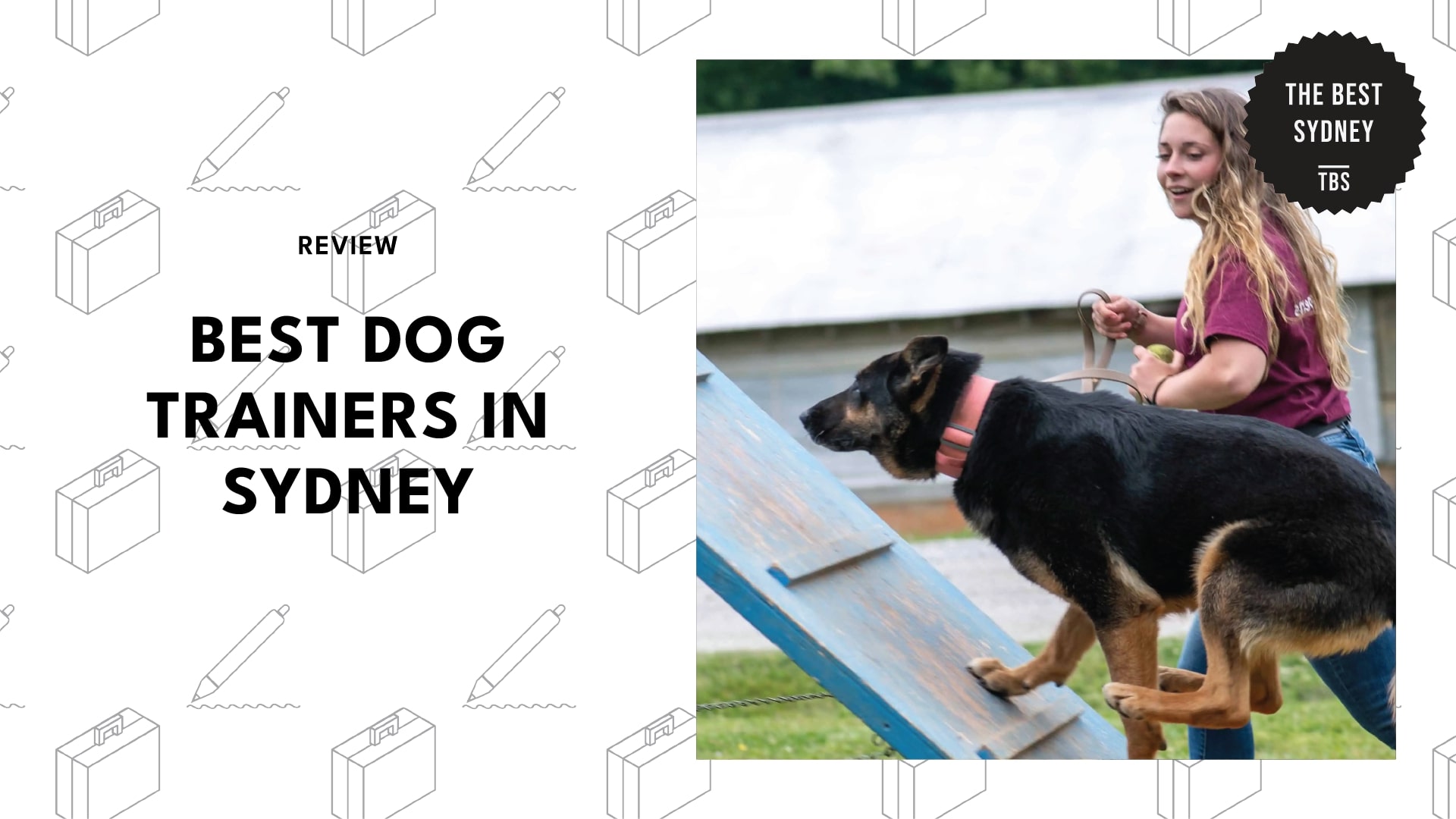 best-dog-trainers-sydney-banner