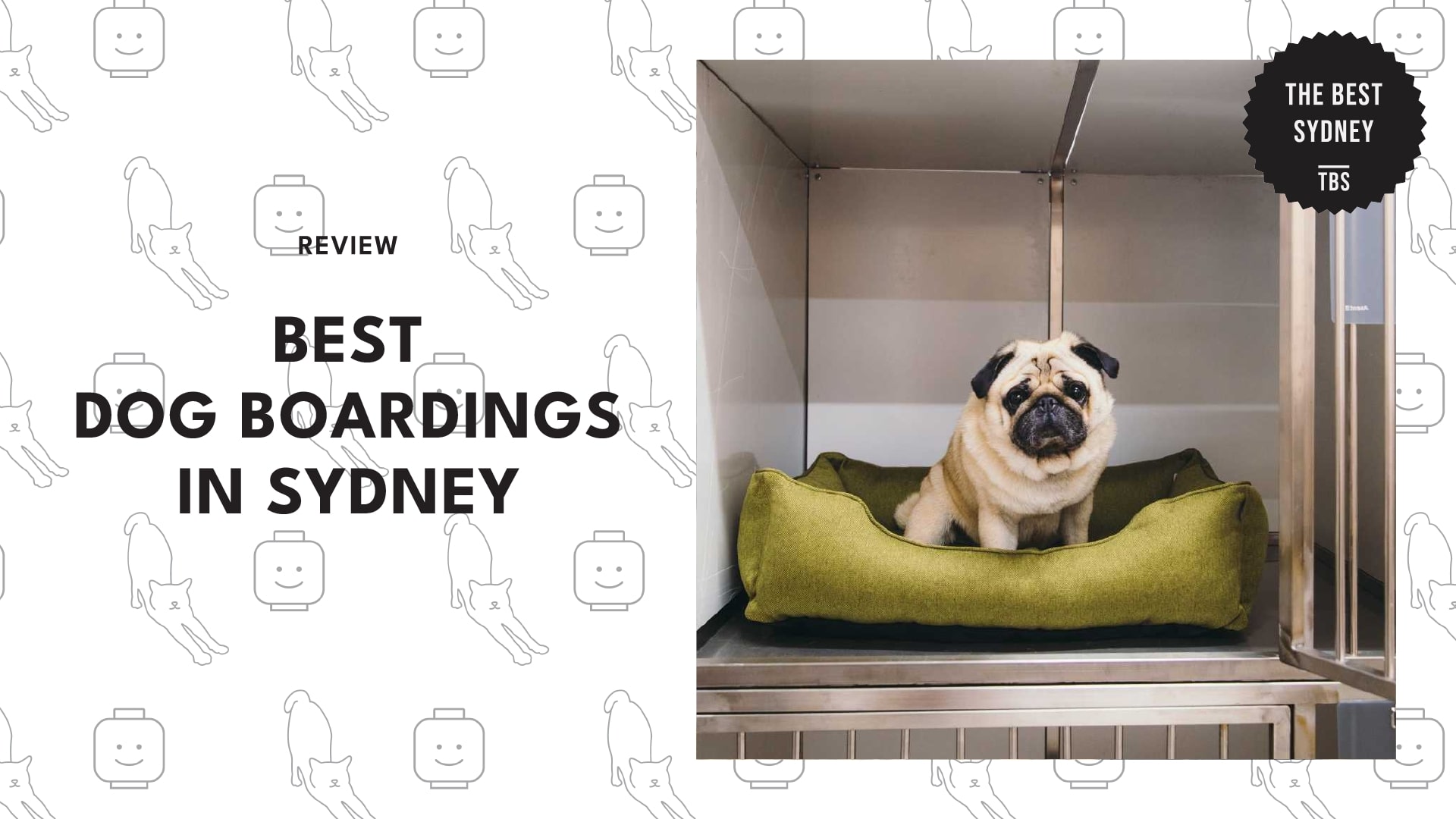 best-dog-boardings-sydney-banner