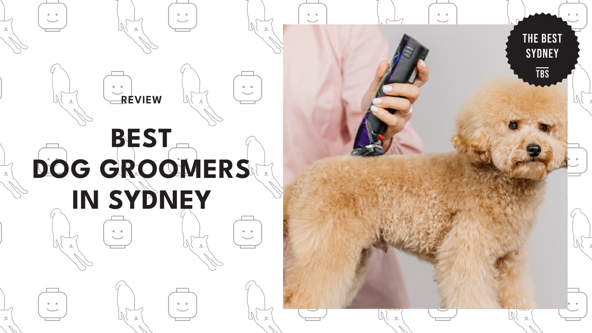 best-dog-groomers-sydney-banner